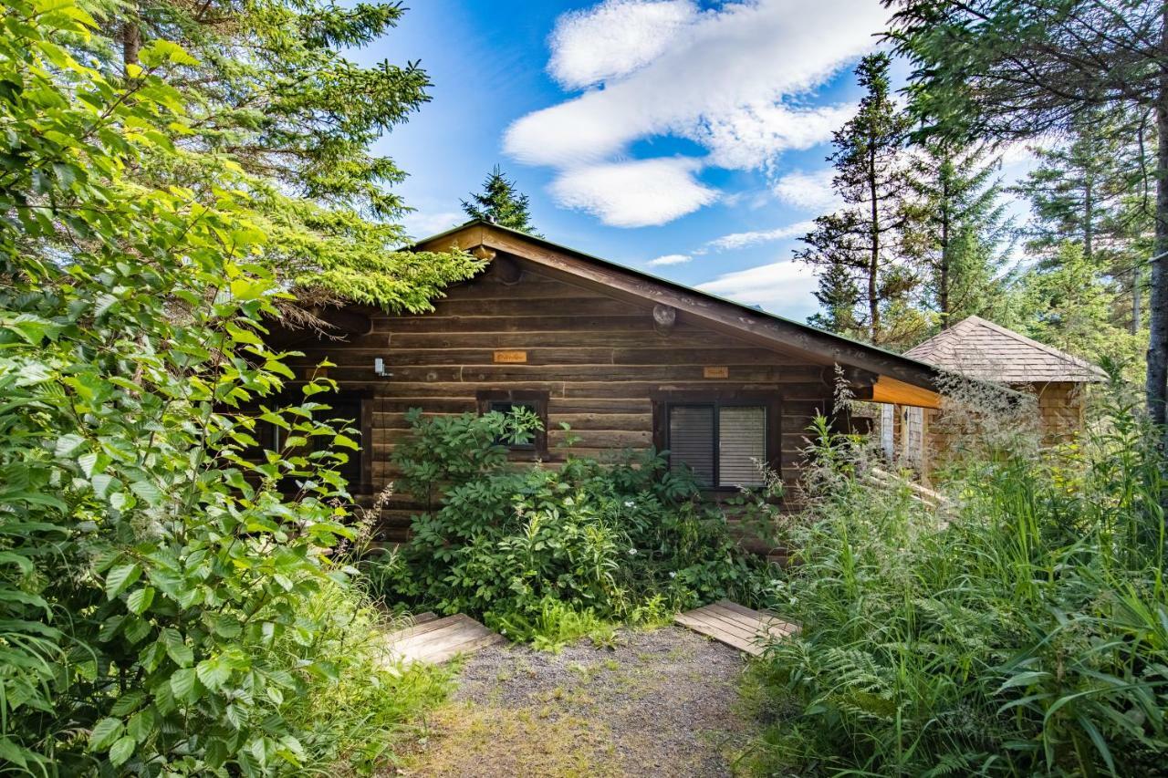 Stillpoint Lodge - All-Inclusive Halibut Cove Esterno foto