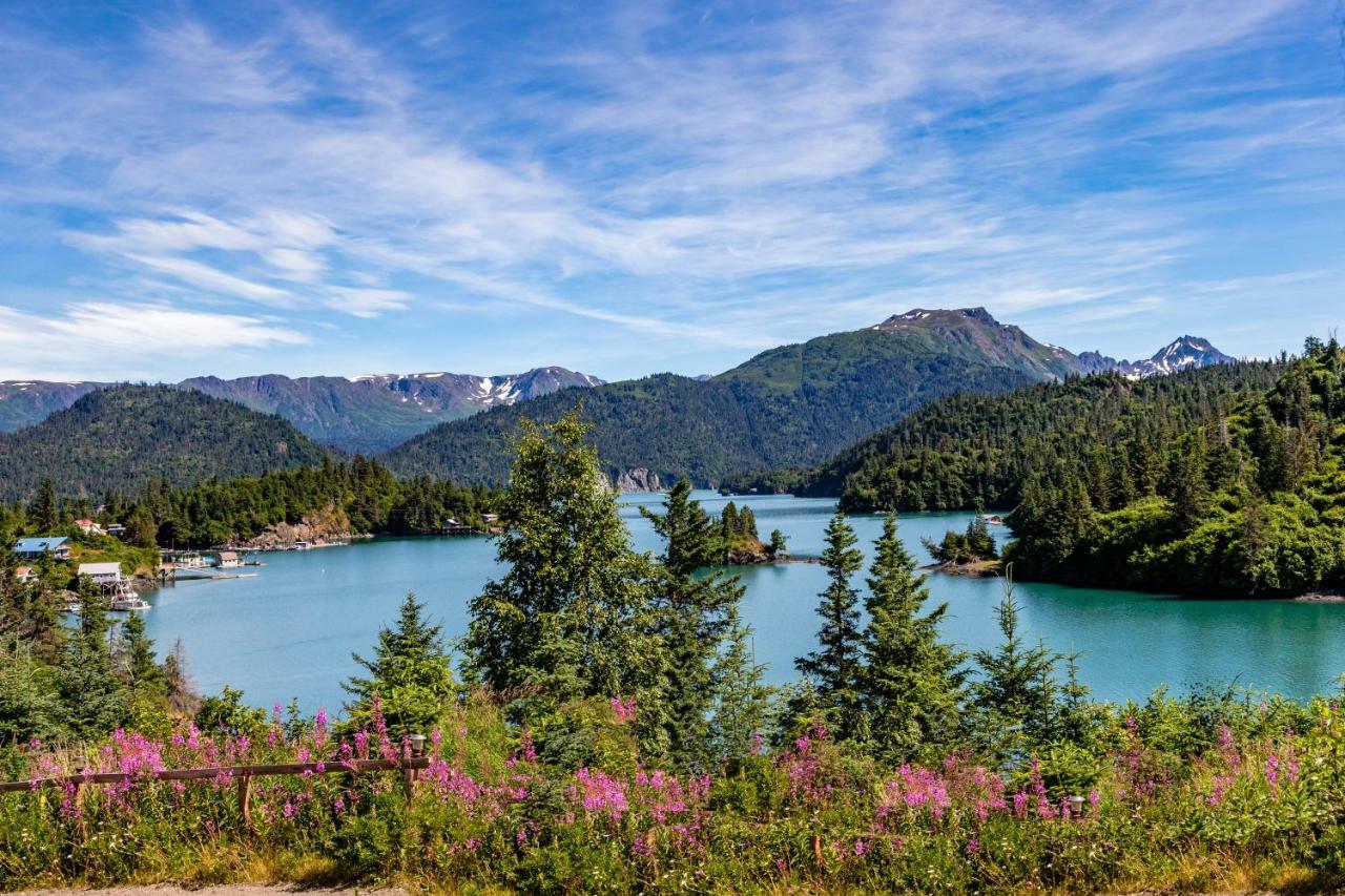 Stillpoint Lodge - All-Inclusive Halibut Cove Esterno foto