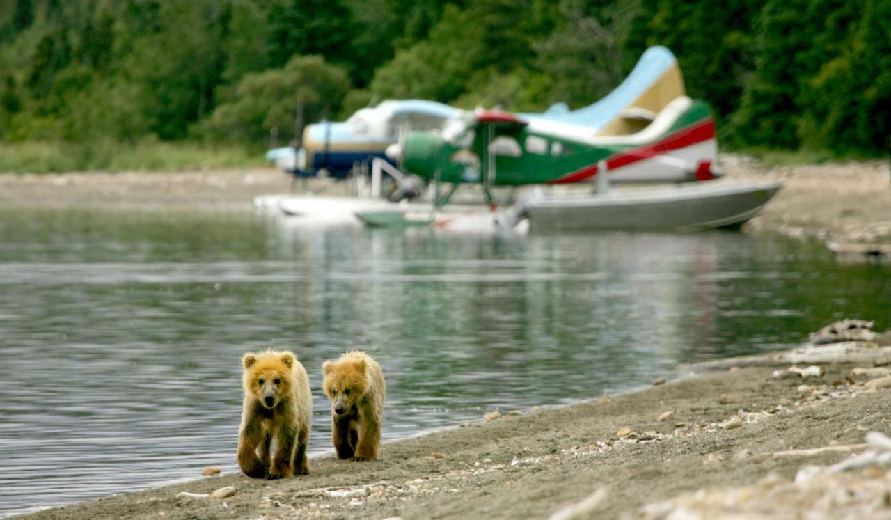 Stillpoint Lodge - All-Inclusive Halibut Cove Esterno foto
